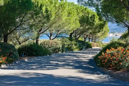 T2 avec vue golfe et piscine à Saint-Florent : photo 2