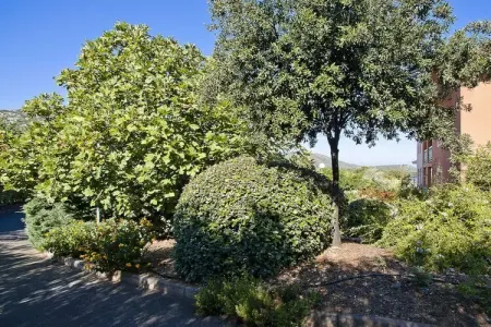 T2 avec vue golfe et piscine à Saint-Florent : photo 4