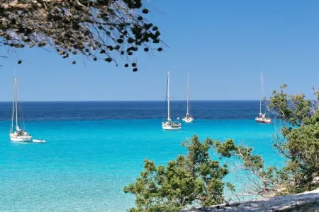 T2 avec vue golfe et piscine à Saint-Florent : photo 19