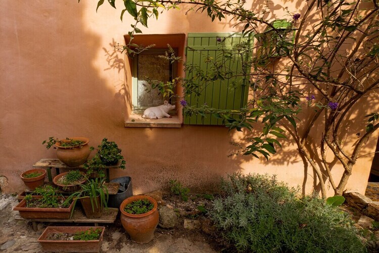 Maison 3 pers. à Gargas avec terrasse et jardin - Photo 3
