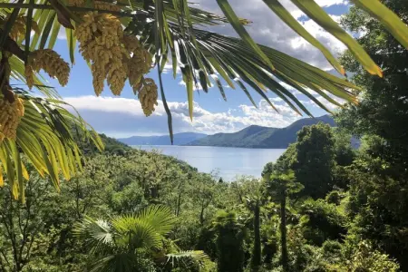 Maison avec vue lac à Luino, 3 chambres et jardin : photo 13