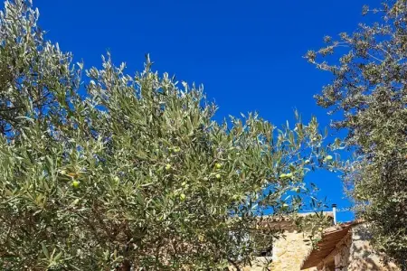 Maison 6 personnes à Bonnieux, piscine et vue Luberon : photo 11