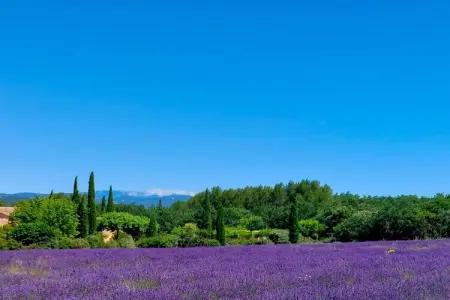 Maison 6 personnes à Bonnieux, piscine et vue Luberon : photo 36