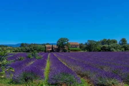 Maison 6 personnes à Bonnieux, piscine et vue Luberon : photo 37