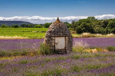 Maison 6 personnes à Bonnieux, piscine et vue Luberon : photo 40