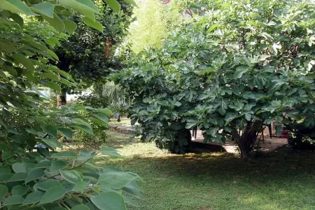 Gîte 3 chambres avec piscine chauffée à Cenac : photo 10