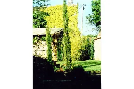 Gîte 3 chambres avec piscine chauffée à Cenac : photo 12