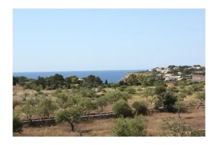 Mirador, appartement vue mer à Cala Santanyi : photo 6