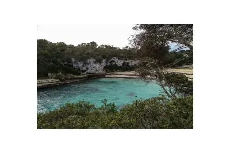Mirador, appartement vue mer à Cala Santanyi : photo 15
