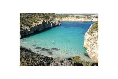 Mirador, appartement vue mer à Cala Santanyi : photo 19