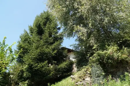 Maison 2 pièces avec terrasse et piscine à Cavaglio Spoccia Gurrone : photo 5