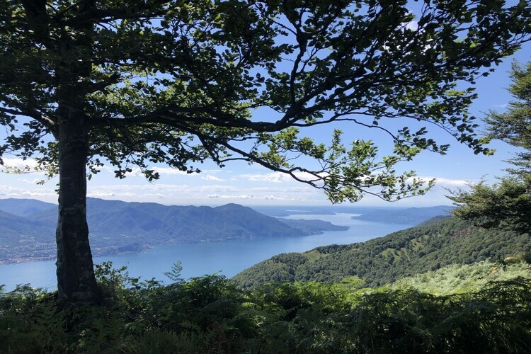Maison romantique avec vue lac Majeur à Oggebbio - Photo 37