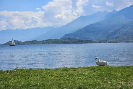 545620, Maison de vacances à Colico avec piscine - Photo 31