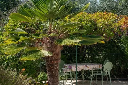 Maison Caseneuve piscine privée et pergola : photo 5