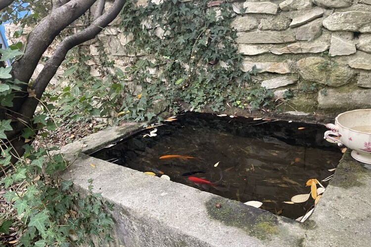 Maison 2 étages avec piscine partagée à La Laupie - Photo 7