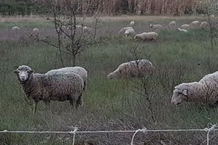 Le Mazet des Moineaux, maison provençale à Saint-Saturnin-les-Apt : photo 26