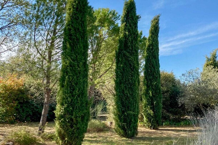 Maison 6 personnes avec piscine à Saint Saturnin lès Apt - Photo 5