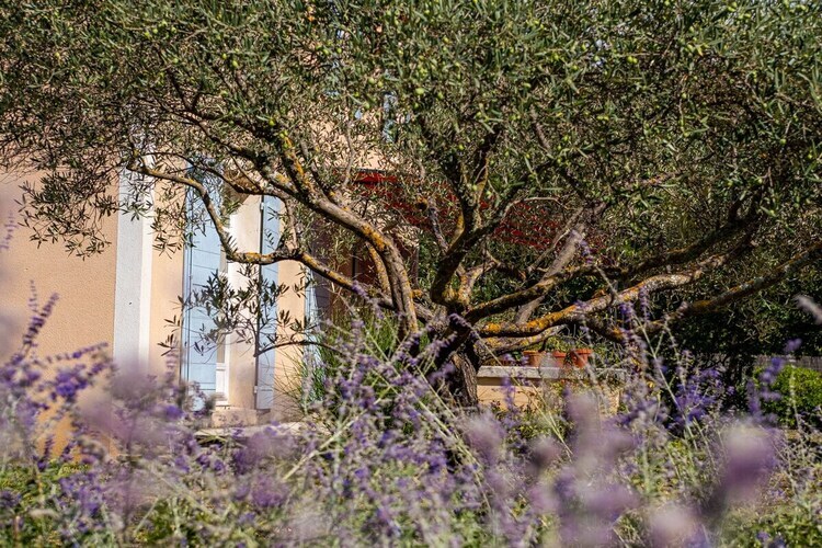 Maison 6 personnes avec piscine à Saint Saturnin lès Apt - Photo 16