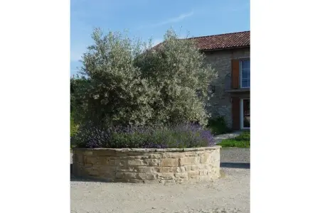 Maison rénovée 100 m² avec piscine à Cortemilia : photo 7