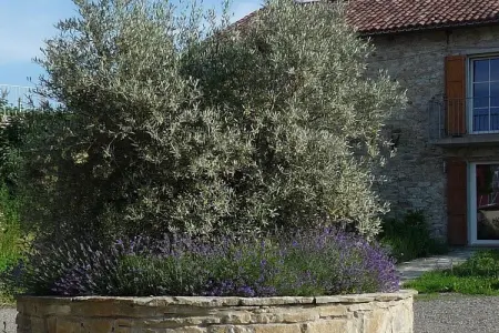 Casa Fienile à Cortemilia : maison 7 pers., piscine : photo 23