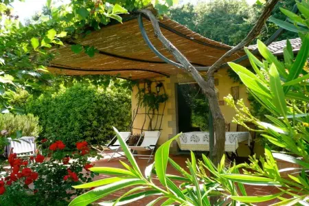 Maison vignoble Orvieto, terrasse pergola et piscine : photo 2