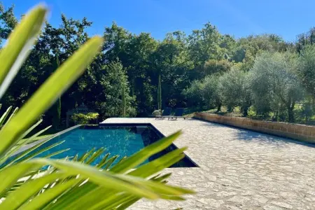 Maison vignoble Orvieto, terrasse pergola et piscine : photo 5