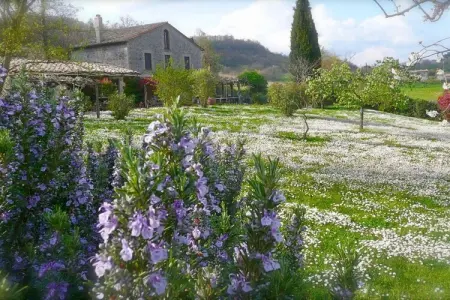 Maison vignoble Orvieto, terrasse pergola et piscine : photo 8