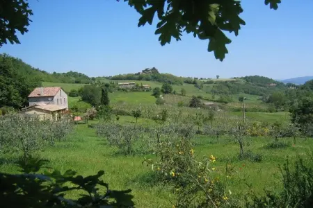 Maison vignoble Orvieto, terrasse pergola et piscine : photo 9