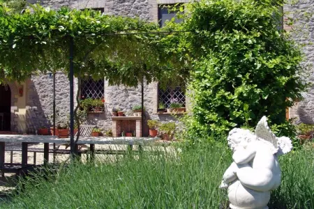 Maison vignoble Orvieto, terrasse pergola et piscine : photo 10