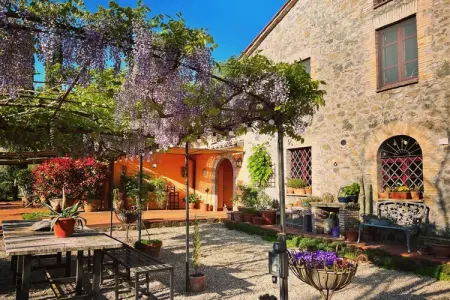 Maison vignoble Orvieto, terrasse pergola et piscine : photo 14