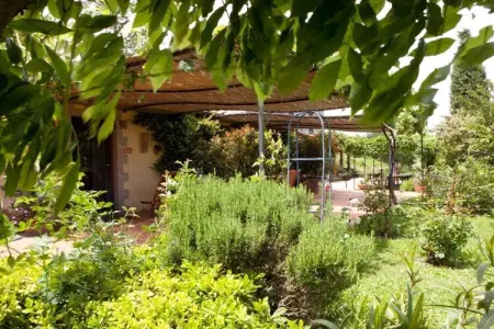 Maison vignoble Orvieto, terrasse pergola et piscine : photo 16