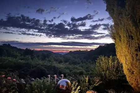 Maison vignoble Orvieto, terrasse pergola et piscine : photo 17