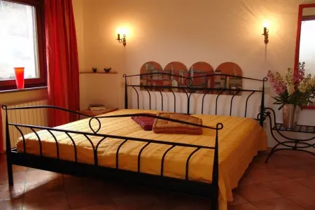 Maison vignoble Orvieto, terrasse pergola et piscine : photo 21