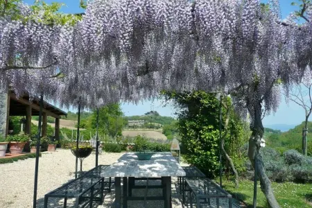 Maison vignoble Orvieto, terrasse pergola et piscine : photo 28