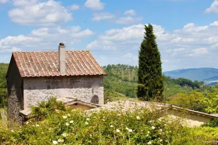 Maison vignoble Orvieto, terrasse pergola et piscine : photo 29