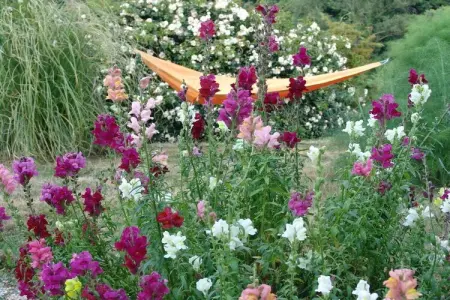 Maison vignoble Orvieto, terrasse pergola et piscine : photo 30