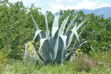 300356, Villa à Stimigliano avec Wi-Fi - Photo 24