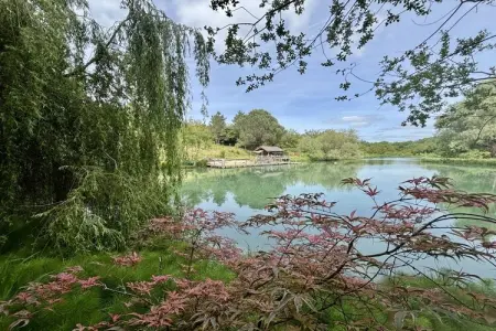 Ancien séchoir à tabac rénové, piscine chauffée à Veyrines-de-Domme : photo 6