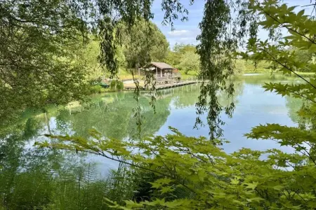 Ancien séchoir à tabac rénové, piscine chauffée à Veyrines-de-Domme : photo 7