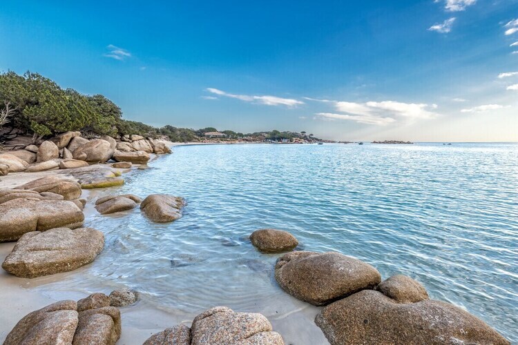 Maison 3 chambres avec piscine à Porto-Vecchio - Photo 4
