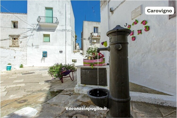 Casa Lea, maison XVIIe siècle à Carovigno - Photo 37
