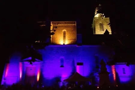 209803, Vias-Plage / Languedoc - Photo 11
