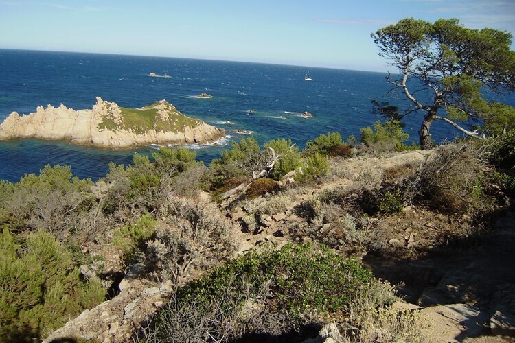 Maison méditerranéenne à Gassin, vue Citadelle Saint-Tropez - Photo 36