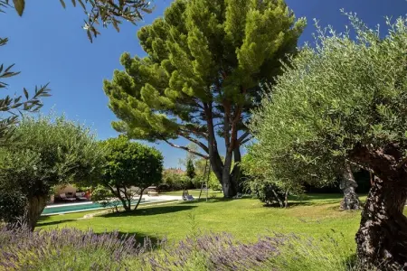 Maison 3 chambres avec piscine chauffée à Garrigues Sainte Eulalie : photo 7