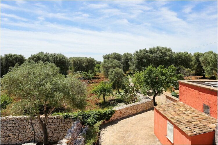 Masseria du XVIIe siècle - 6 personnes à San Vito - Photo 10