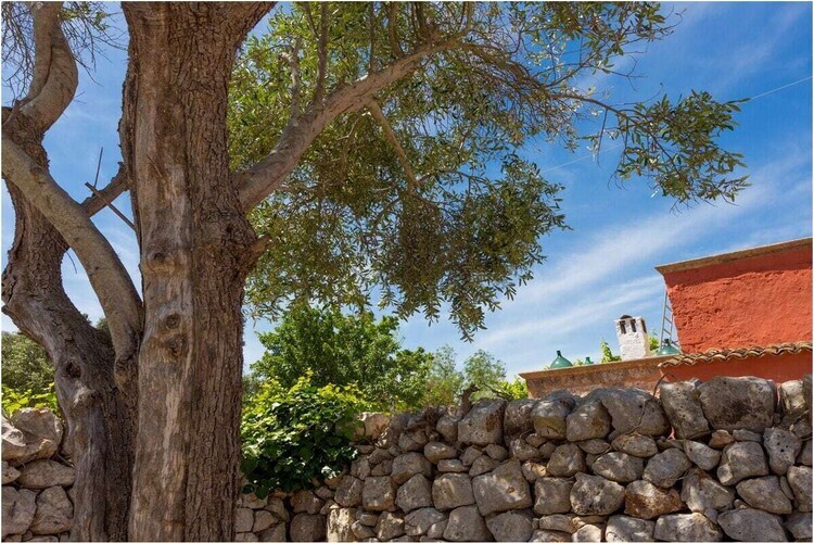 Masseria du XVIIe siècle - 6 personnes à San Vito - Photo 13