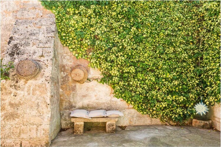 Masseria du XVIIe siècle - 6 personnes à San Vito - Photo 14