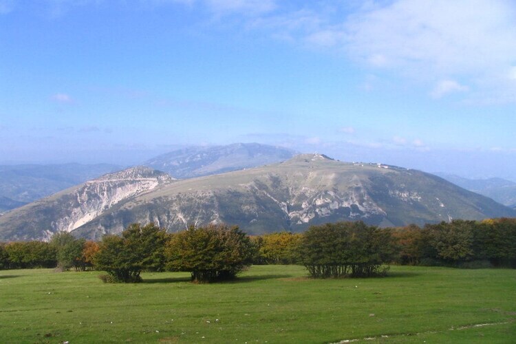Maison Cynzia avec vue mer et jardin de 2000 m² - Photo 26