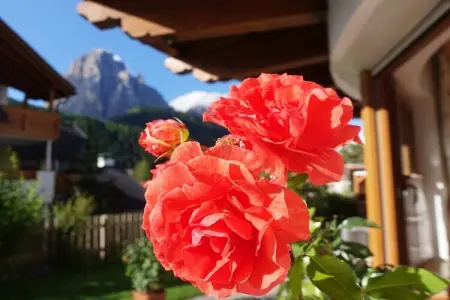 Studio Diego à Santa Cristina, vue sur le Sassolungo : photo 6