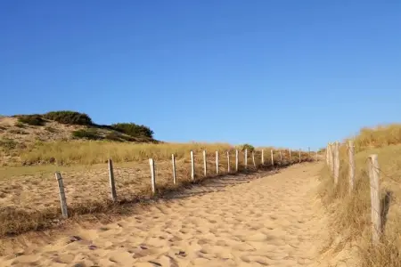 Maison 2 chambres avec jardin à Capbreton : photo 23
